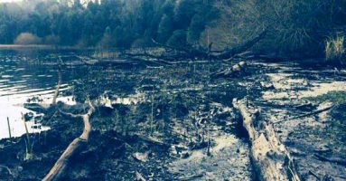 Comunidad mapuche rogará por el cuidado de la laguna Ancapulli