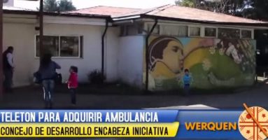 (VIDEO) Noticiero Werquén – Viernes 21 agosto 2015