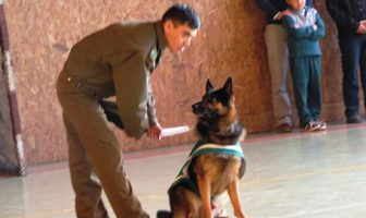 Fuerte acercamiento de carabineros con escuelas de Villarrica