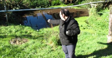 Ojo de agua ubicado a metros del centro de Villarrica estaría conectado con el volcán