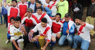 Club Deportivo Palguín ganó la serie de honor en Pucón