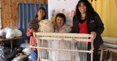 Fosis invertirá 73  millones de pesos para beneficiar a  80  familias de la zona