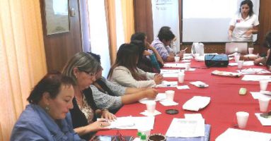 Emprendedores de Villarrica aprenden a elaborar proyectos