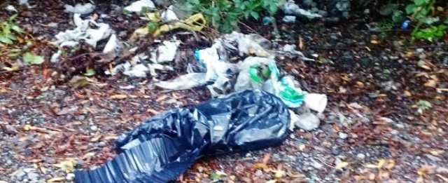 OPERATIVO LIMPIEZA 1 - PUENTE R DE BASTIDAS