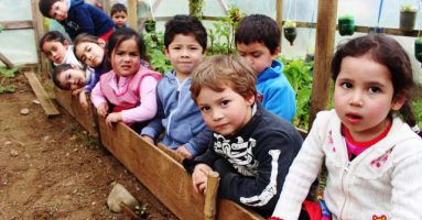 Salas Cunas y Jardines Infantiles VTF de Villarrica en “Pausa Pedagógica”