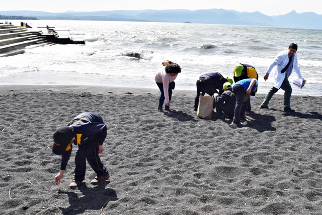 Alumnos de diferentes escuelas realizan operativo de aseo en Playa Pucara de Villarrica 3 Alumnos de diferentes escuelas realizan operativo de aseo en Playa Pucara de Villarrica - Red Informativa