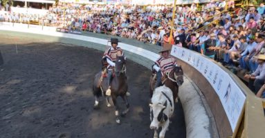 Exitoso Clasificatorio Zonal de Rodeo en Pucón: De cara al Champion de Rancagua