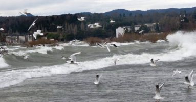 Meteorología de Chile anuncia ráfagas de viento de hasta 90 km/hora en la zona lacustre