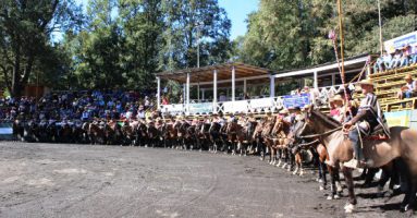 Collera de Gorbea se coronó campeón de la sexta final del Rodeo Criollo  de Pucón