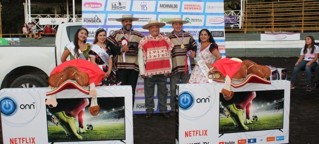 Collera de Gorbea se coronó campeón de la sexta final del Rodeo Criollo de Pucón - Red Informativa