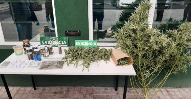 SIP de Carabineros de Villarrica incauta gran cantidad de droga y detiene a una persona