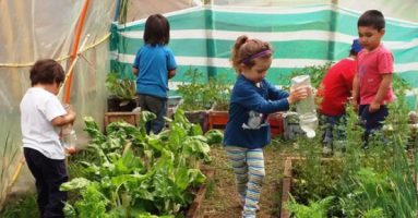 Niños y Niñas en casa: Coordinadora de Salas Cunas y Jardines Infantiles VTF entrega recomendaciones