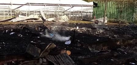 Un ataque incendiario afectó a Piscicultura Cermaq, ubicada en Coipúe - Red Informativa