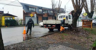 Diversos operativos continúan realizando equipos municipales para evitar anegamientos y colapso de alcantarillas