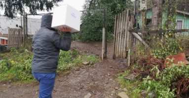 Continúa la entrega de alimentos por parte de la Municipalidad de Villarrica