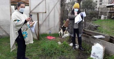 Un total de 235 familias de Licán Ray, Ñancul y Villarrica ingresan al Programa Huertos Urbanos