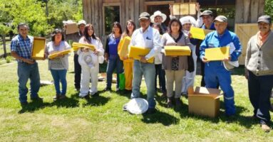 Un total de 337 Familias del PDTI de Villarrica se adjudican recursos para inversión predial