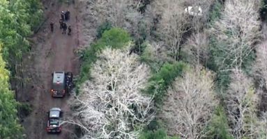 Prisión preventiva para detenido por hurto de madera y porte de munición en Ercilla