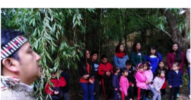 Escuela de Cónquil inicia propuesta pedagógica innovadora en base a huertos educativos