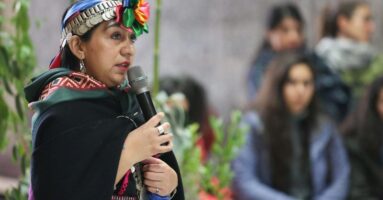 Profesora del Campus Villarrica UC es la primera representante de pueblo originario en jurado para Premio Nacional de Literatura