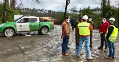 Desconocidos perpetraron ataque incendiario en sector rural de Loncoche