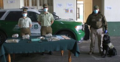 OS-7 decomisa 12.500 dosis de marihuana que se pretendía comercializar durante el eclipse en Villarrica