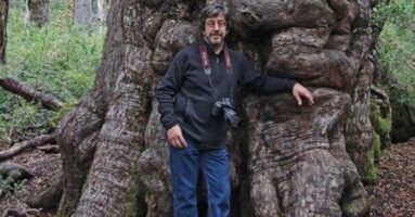 Hondo pesar en Villarrica por muerte de documentalista y profesor Manuel Gedda
