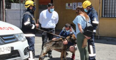 Militar protagoniza emotivo momento: Viajó a Temuco a homenajear al perro de Bomberos que halló los restos de su madre