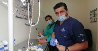 Centro Veterinario Municipal atiende de manera presencial para agendar horas