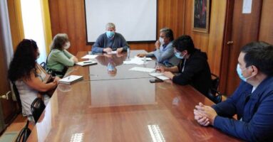 Colegio de Profesores Villarrica propone iniciativas para trabajo lectivo 2021