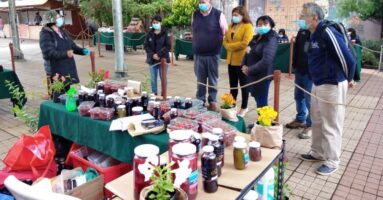 Comenzó Expo Berries en Villarrica