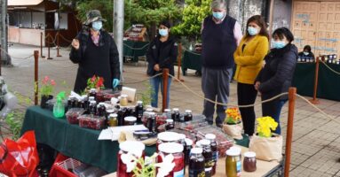 Mujeres emprendedoras de Villarrica pueden postular a muchos beneficios
