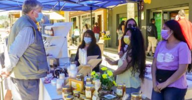 Con éxito continúa Feria de Emprendedores en calle Camilo Henríquez de Villarrica