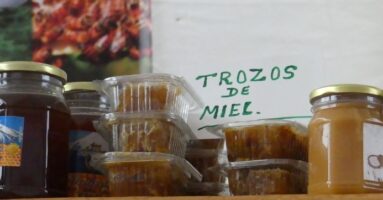 EXPO Apícola en Villarrica estará presente hasta este martes