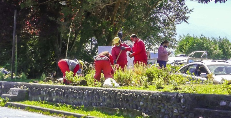 Plan de arborización realiza Municipalidad de Villarrica en sector embarcadero 2 Plan de arborización realiza Municipalidad de Villarrica en sector embarcadero - Red Informativa