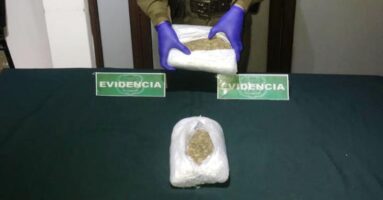OS-7 con perro antidrogas decomisó 3.464 dosis de marihuana con destino Villarrica