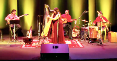 Concierto en Arpa  “Melodías de Mujer”Centro Cultural presenta a Jessica Norambuena Turra