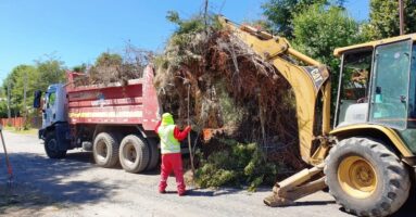Municipalidad adquirirá nuevo camión con carrocería y grúa para labores de carga en Licán Ray