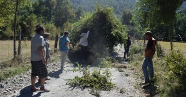 Operativo de limpieza de faja del sector Matriz Fernández en Cudico Alto: Un trabajo conjunto entre vecinos y Municipio
