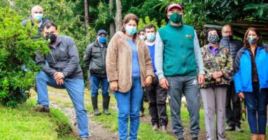 Vecinos de Ñancul Sur solicitan mejorar sus caminos