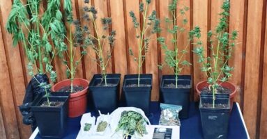 VILLARRICA: Dos detenidos y la incautación de más de $6 millones en droga