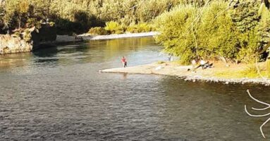 Joven profesional murió ahogado en el río Toltén