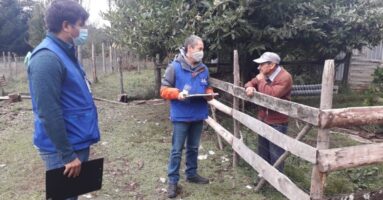 “El Campo Cuenta” VIII Censo Agropecuario y Forestal se desarrolla en  Villarrica