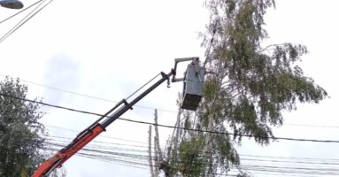 Municipalidad inicia trabajo de podas en distintos sectores de la comuna