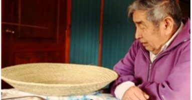 Oficina Municipal de Asuntos Indígenas: Se realizan diversas gestiones en beneficio de comunidades mapuches