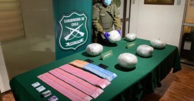 Carabineros del OS-7 “Araucanía” y el can antidrogas “Flawy” sacan de circulación más de 6 kilos de marihuana elaborada