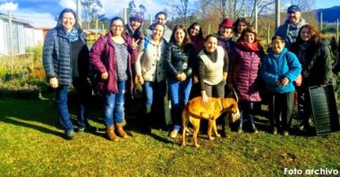 205 familias del PRODESAL Villarrica reciben Fondo de Operación Anual (FOA)