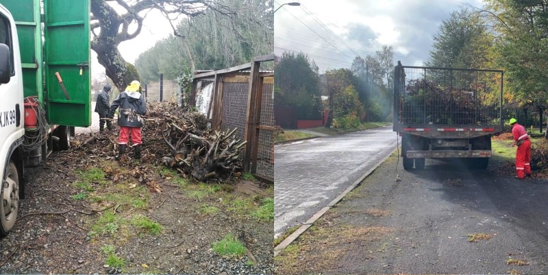 Operativos de limpieza de ramas en Lican Ray - Red Informativa