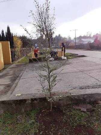 Escuela “Voipir de Ñancul” culmina el Mes del Medio Ambiente - Red Informativa