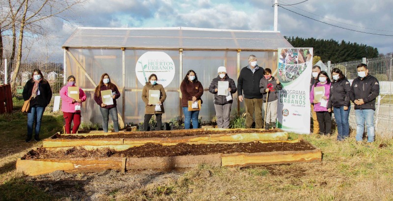 Departamento Rural lanza campaña “Construye tu huerto urbano en cuarentena” - Red Informativa